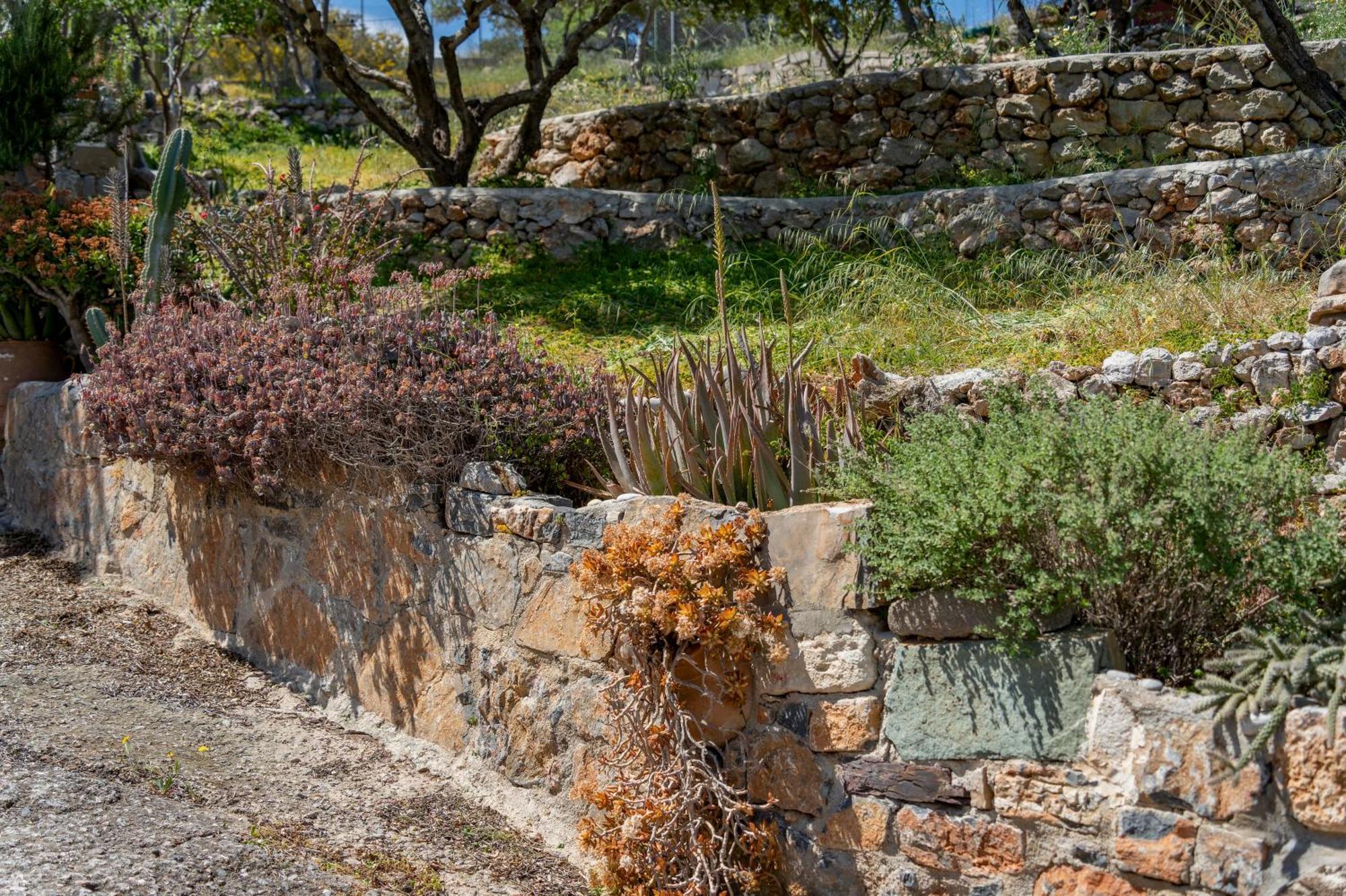 Rafaela'S Sea View House Daire Ayos Nikolaos Dış mekan fotoğraf